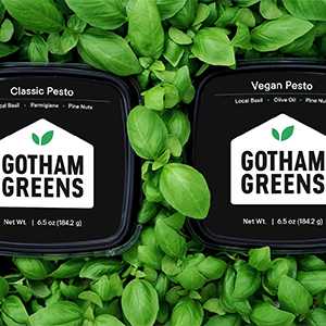 Gotham Greens - Classic Pesto